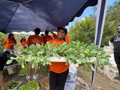 Meet Who Our Greenhouse Projects Uplift!