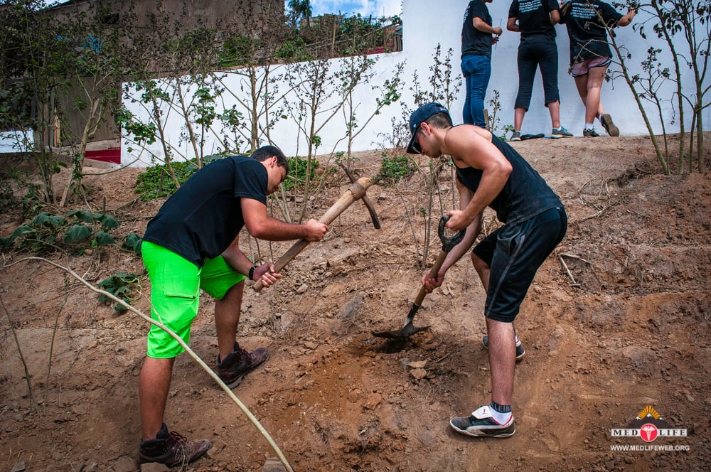 Copy of landscaping winter 2014