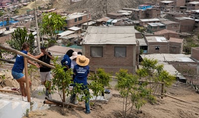Types of Community Development Volunteer Opportunities