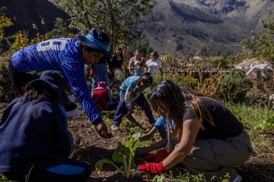 The Pitfalls of International Development: How Safe Homes Avoids Creating Dependence & Doing Harm