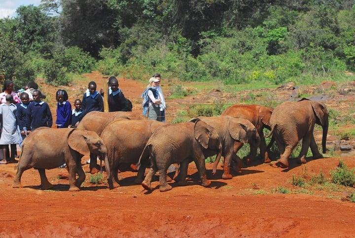 Volunteer in Africa Tanzania
