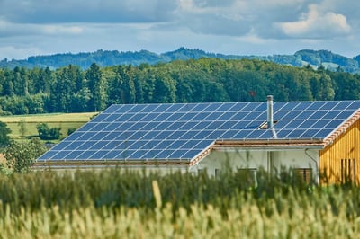 The Importance of Environmental Sustainability Within Safe Housing