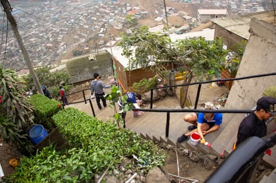 Habitat for Humanity vs Safe Homes: What’s The Difference For Student Volunteers?