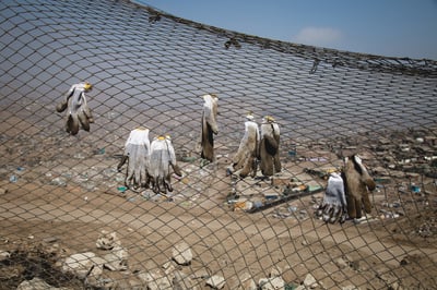 The Ultimate Guide to Summer Volunteer Opportunities in Construction: What You Need to Know