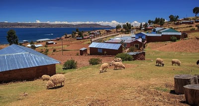 The Role of Community in Building Safe Homes