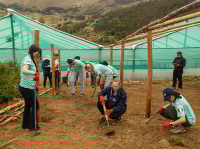 Why Safe Homes Does Environmental Projects in Underserved Communities