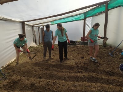 How Safe Homes Assists With Andean Greenhouse Farming in High Altitude Climates