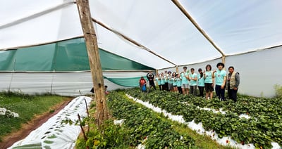 5 Reasons Why Community Service Opportunities Abroad Are Life-Changing