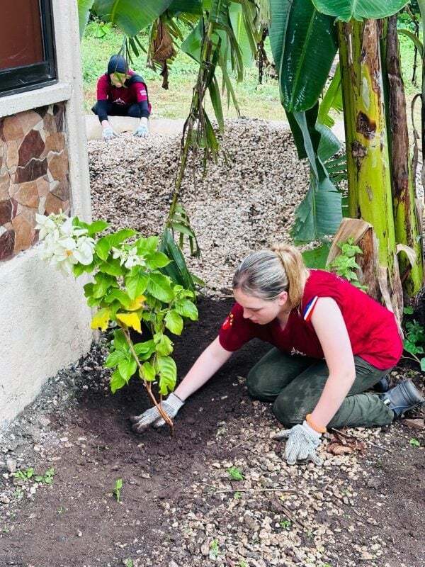 Medios-1-8DC63FB1-1FFE-4629-BE3C-26B0DC76DB12-600x800-1-3