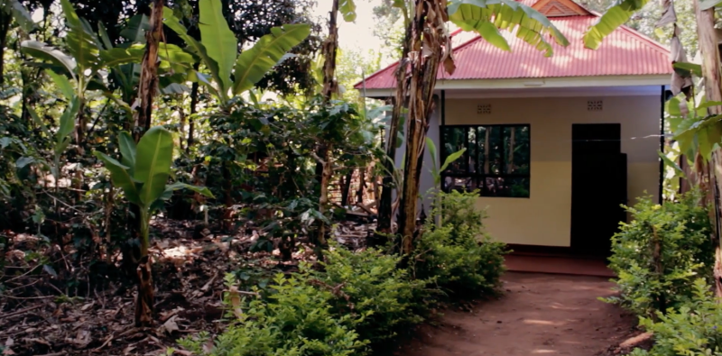 Screen-Shot-2025-05-20-at-2.07.56-PM-800x395 (1)