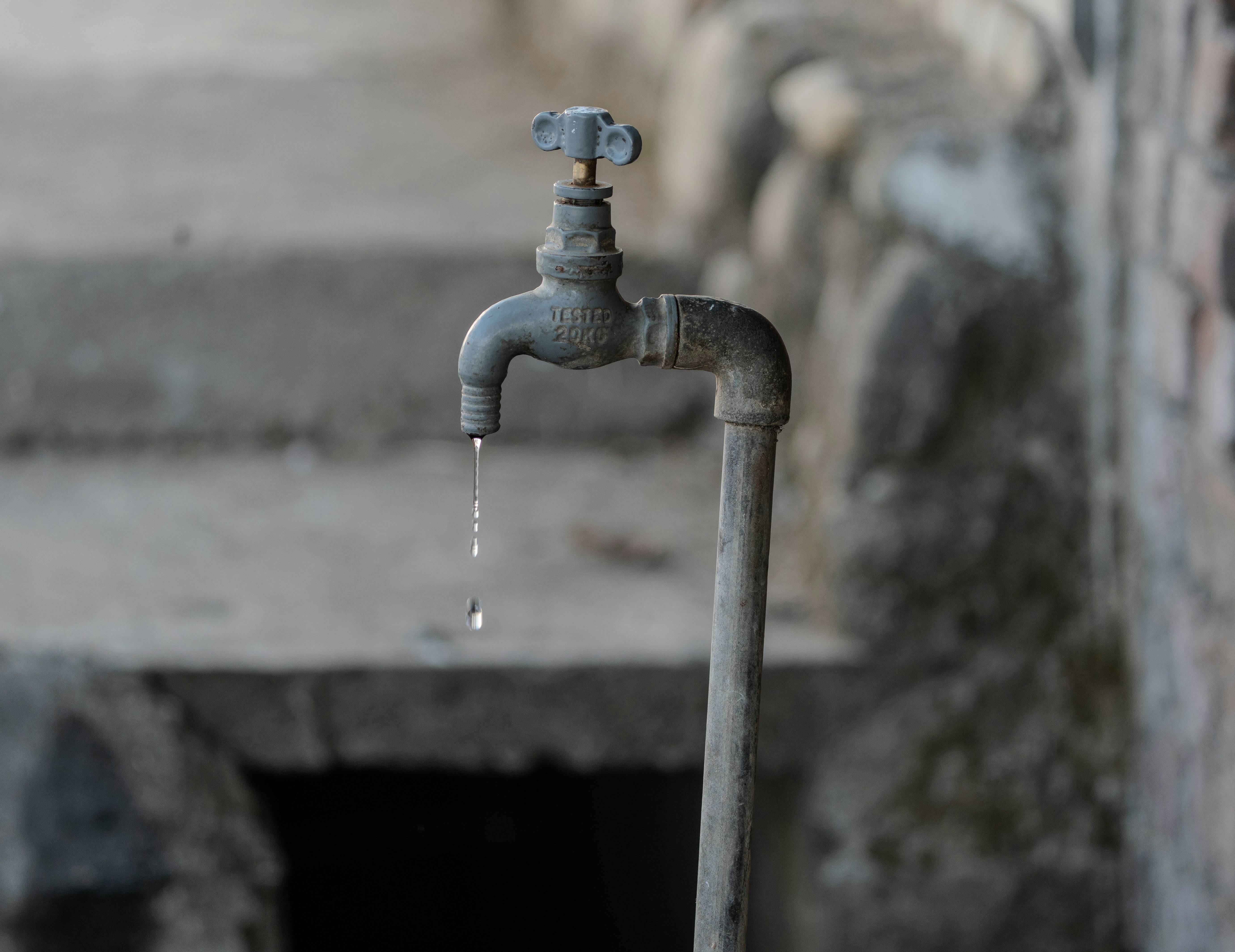 pexels-rajesh-s-balouria-1289088-35137859