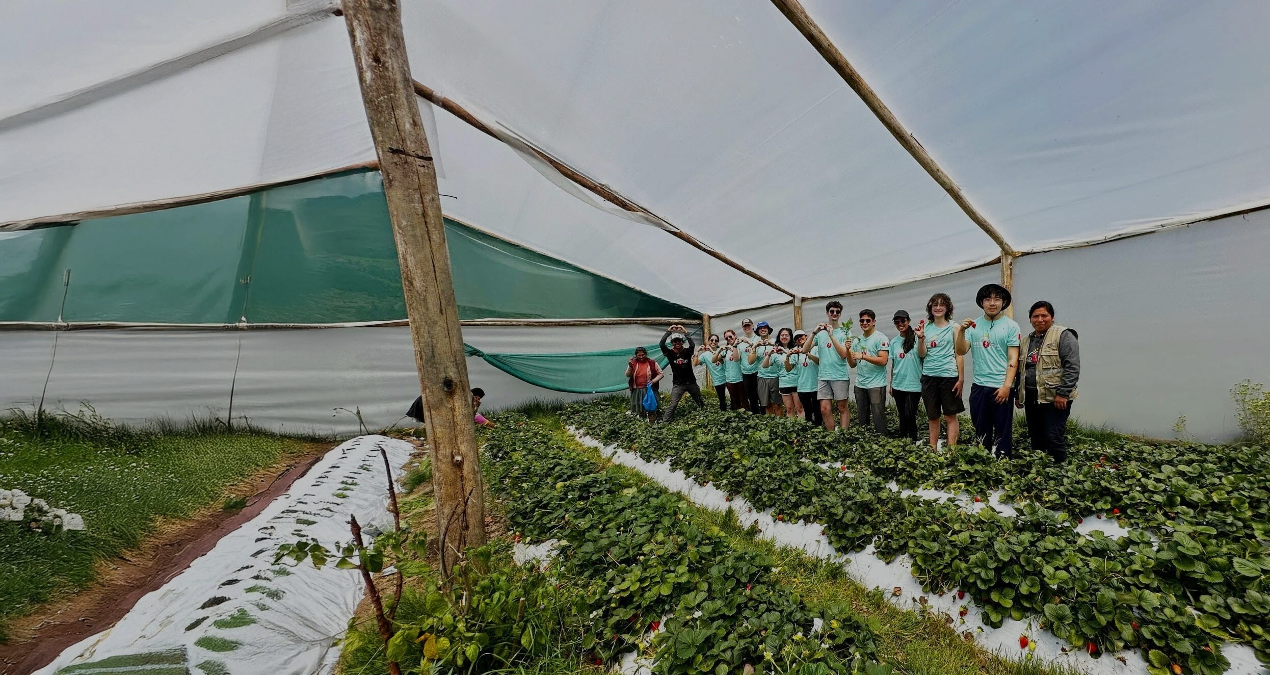 sustainable-projects-medlife-2